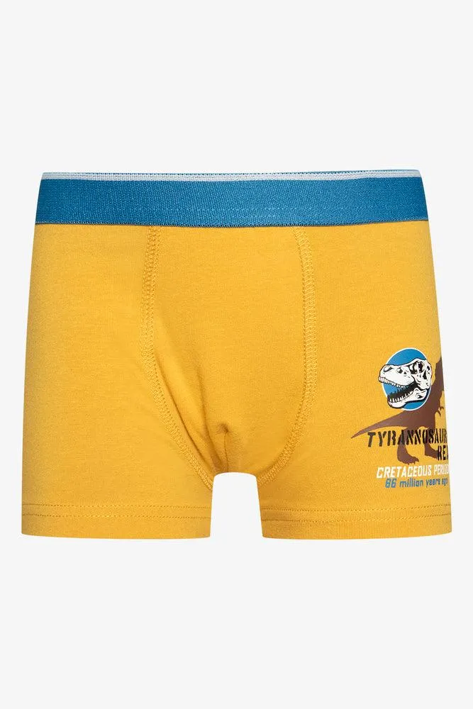 3 Pack Dino Boxers Yellow & Blue