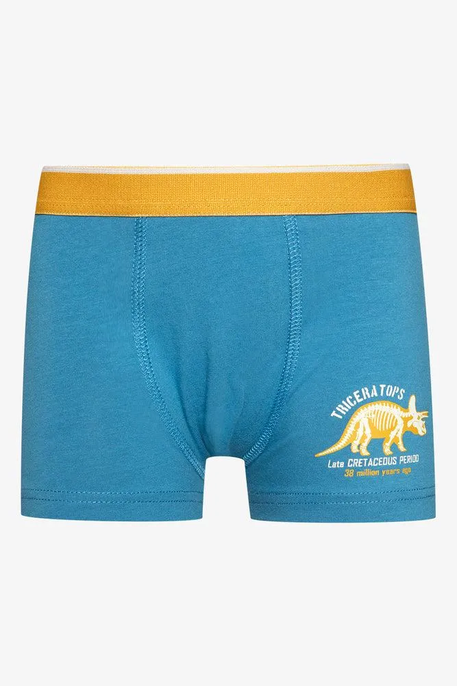 3 Pack Dino Boxers Yellow & Blue