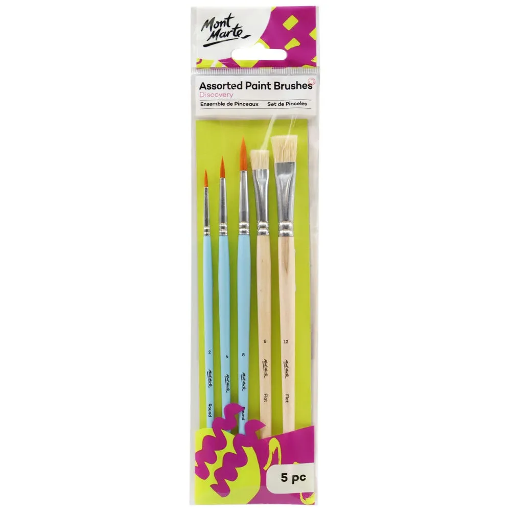 Assorted Paint Brushes Discovery 5pc